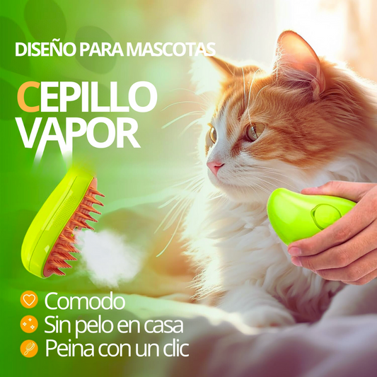 Cepillo recargable en Spray - DelicBrush™ | 1+1 GRATIS